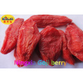 Baies de Goji séchées biologiques indigènes de Ningxia